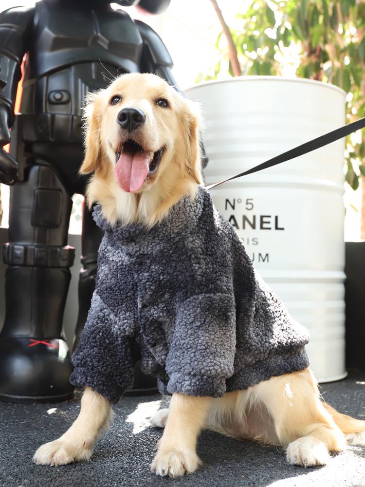 Autumn & Winter Clothes for Large Dogs: Labrador, Samoyed, Border Collie, Golden Retriever