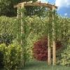 VidaXL Garden Arch In Solid Pine Wood 150x60x210 Cm, Rot-Resistant, Support for Climbing Plants, 41662