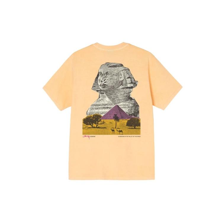 Stussy FW21 Tee Unisex 1904752