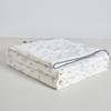 Muji Class A Pure Xinjiang Cotton Summer Quilt