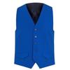Without Prejudice Men's Wool Blend Slim Waistcoat