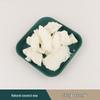 DIY Soy & Beeswax Aromatherapy Candle Kit