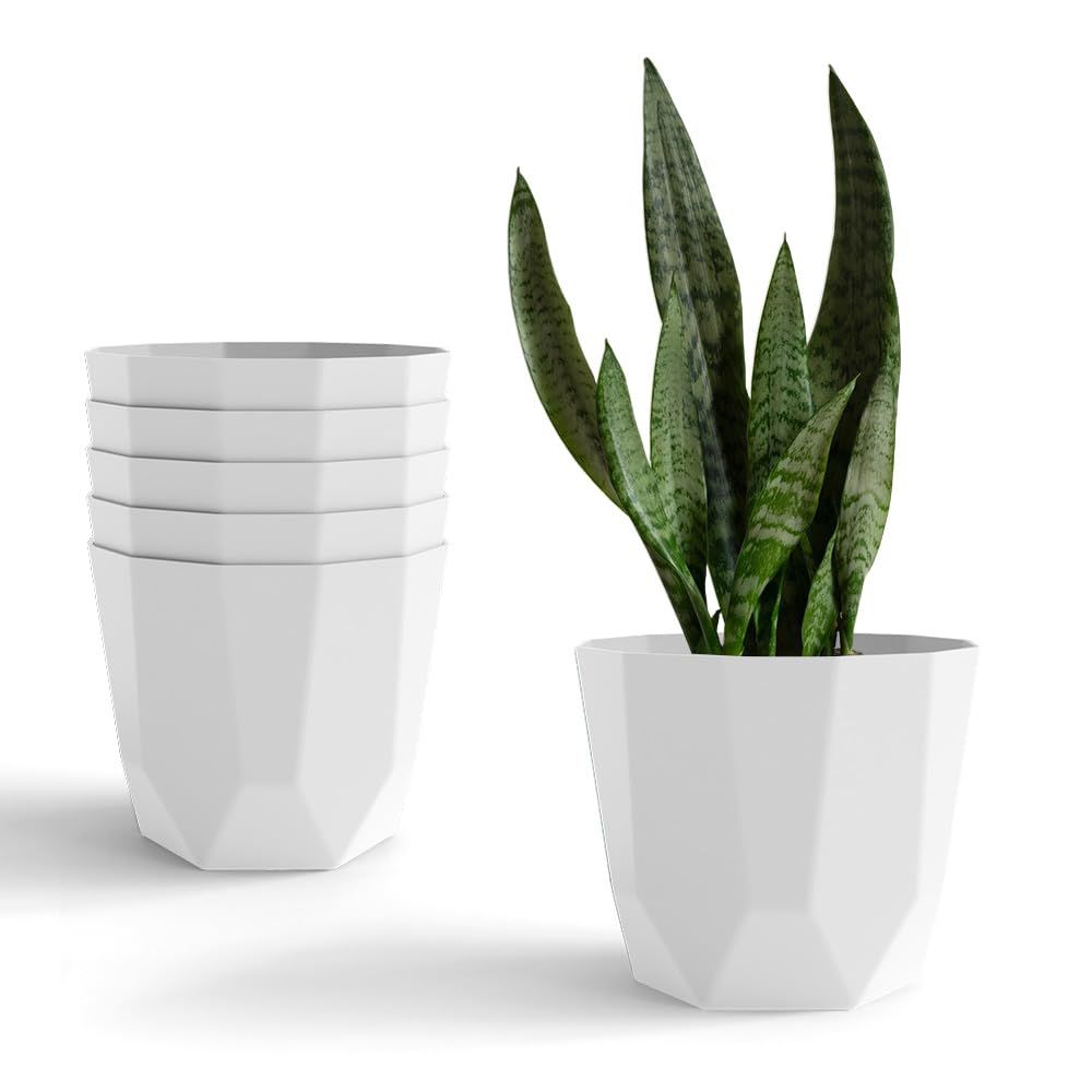 Hexa 8 Inch Pack of 6 Piece Plastic Plant Pot for Home Decor Indoor Plant Pots for Living Room Plastic Flower Pot for Garden (White)
