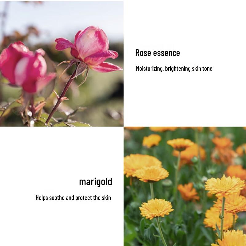 Jurlique Rose Softening Hand Lotion