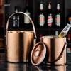 3L Double-Layer Insulated 304 Stainless Steel Ice Bucket with Thickened Handle for Wine & Beer