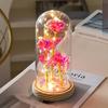 LED Luminous Rose Flowers in Glass Cover - Perfect Gift for Mother's Day, Valentine's Day, and Christmas