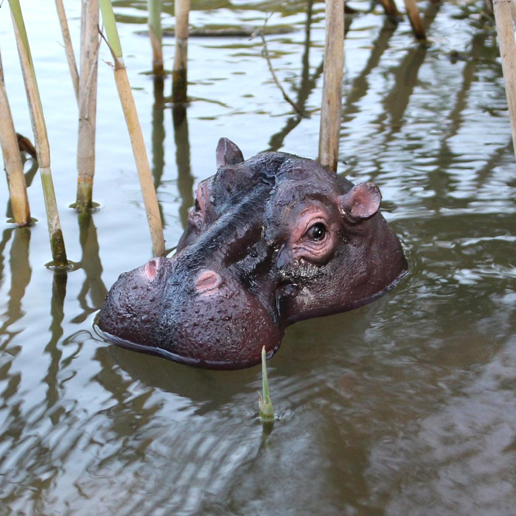 Ornamenti Ippopotamo Galleggiante, Statua Animale Simulazione per Giardino Esterno, Decorazione per Laghetto Paesaggistico Acquario