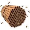 50 Pcs Cardboard Bee Tubes House Garden Pollinator Bee House Nest Tubes Durable Beehive House Garden Gift for Beekeeper