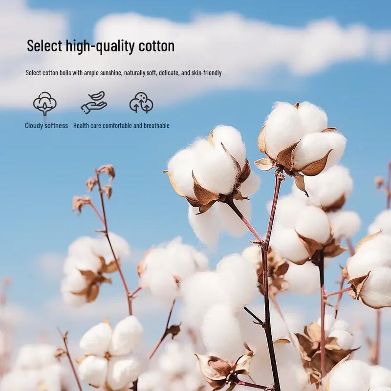 Yiershuang Women's 7A Antibacterial 100% Cotton Mid-Waist Briefs