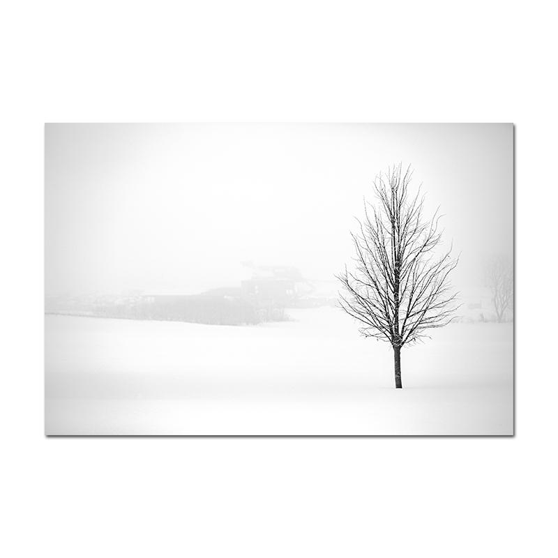 Minimalist Black White Modern Photo Wall Art Canvas Print Poster Winter Nature Sight Picture for Living Room Home Decor Cuadros