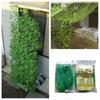 Garden Plant Climbing Net