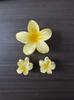Gradient Plumeria Claw Clip Set: 18-Piece Floral Hair Accessories