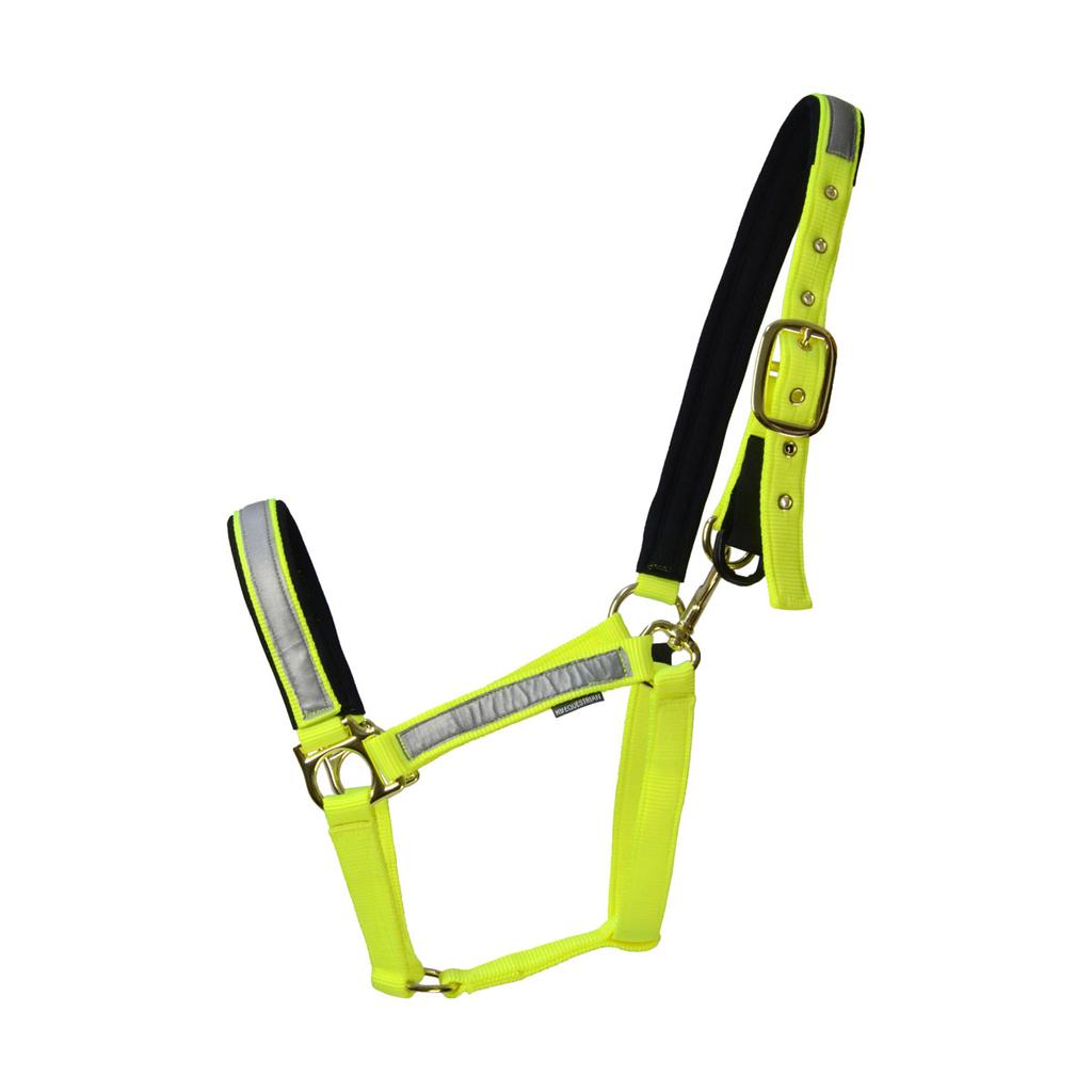 HyVIZ Obojek Fieldsafe pro koně