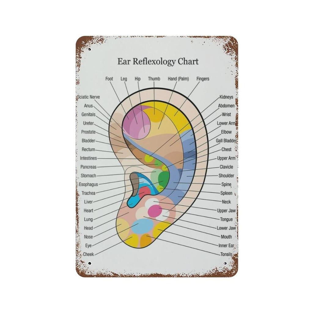 Cartello Metallo HD Latta Grafico Riflessologia Auricolare Arte da Parete Vintage Agopuntura Decorazione Salute per Clinica Spa Casa
