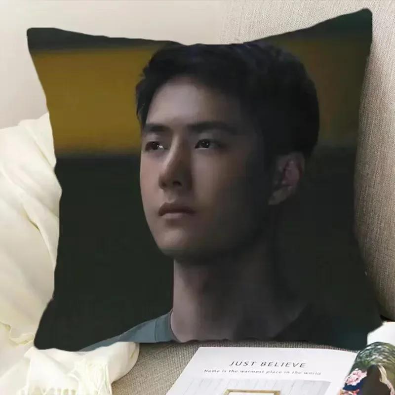 Wang Yibo Yebo Poster Double-sided Printed Pillowcase China Movie Born To Fly Lei Yu Drama Stills Home Car Decor Cushion Cover