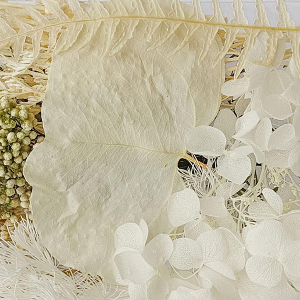 Getrocknete Blumen, exquisite, schöne, umweltfreundliche, farbige Trockenblumen für die Heimdekoration