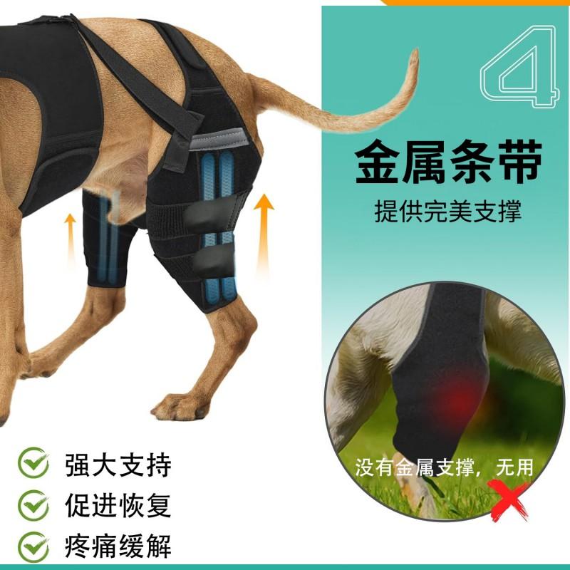 Dog Rear Leg Support Harness Injury Recovery Adjustable Hindlimb Protector In Neoprene XS To XXL