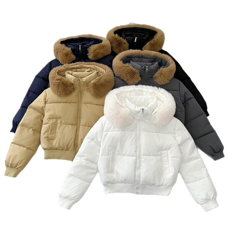 Down Cotton-padded Clothes, Short Cotton-padded Clothes, Winter New Sister Thickened Foreign Gas Cotton-padded Jacket, Korean Version of Big Fur Colla