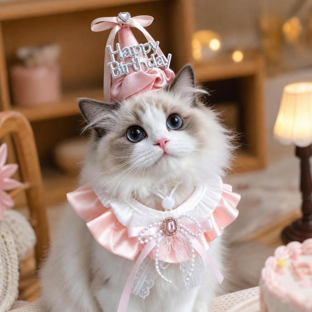 Bowknot Pet Birthday Hat Scarf Set Cute Cat Princess Hat Happy Birthday Cone Hat Puppy Costume