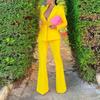 Autumn 2022 European & American Slim-Fit Suit Jacket with Flared Pants for Women