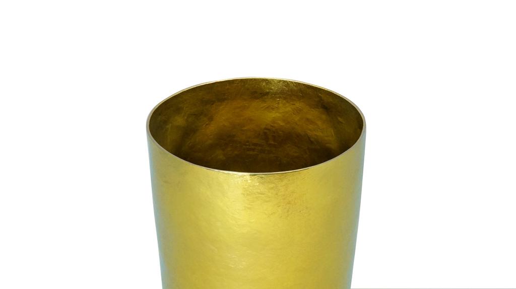 HORIE Made in Niigata Prefecture Titanium Double Tumbler Kiln Light 270cc Polished Gold T09KM270MGGD Tsubame,