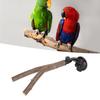 Bird Branch Perch Stand Training Interactive Prevent Slip Wooden   Perch with Suction Cups for Small Medium Bird