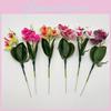 Artificial Realistic Phalaenopsis Flower Plant For Photography And Home Decor