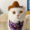 Huisdier Hoed met Verstelbaar Touw Mode Verkleed Non-woven Stof Cowboy Hoed Kat Hond Pet Accessoires