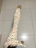 Women's Autumn/Winter Printed Wide-Leg Micro-Flare Casual Pants - Sporty, Versatile, Slimming Style