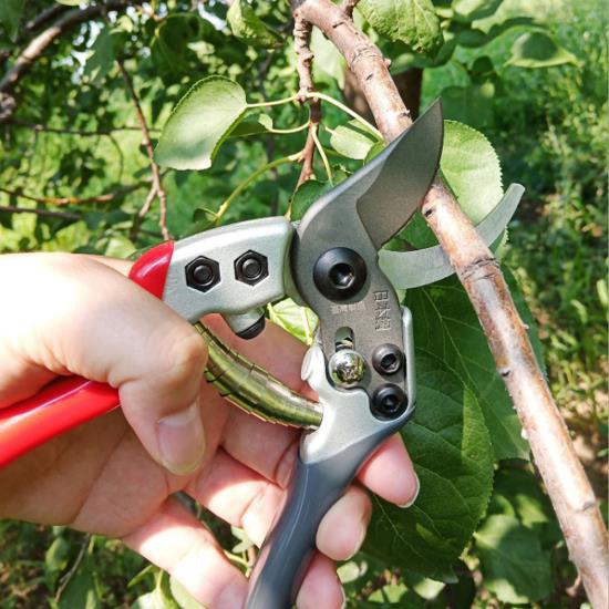 Manual High‑Carbon Steel Garden Pruner Fruit Tree Branch Pruning Shears Trimming Scissors