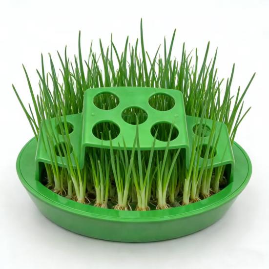 Hydroponic Scallion Planter Countertop Plant Propagation Station Scallion Regrow Planter with 9 Holes Easy Kitchen Regrowing for Fresh Scallions