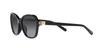 Sunglasses HC8349U CD481 50028G BLACK 56 [Coach] Women's