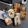 Soft Cover for Samsung Galaxy S25 S24 S23 FE Plus Ultra S7 Edge A16 A15 5G S25+ Coque Phone Case Golden Retriever Dog