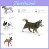 Realistic Pvc Model Of Boxer Dog Featuring Detailed Static Design For Collectors