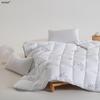 Muji Winter Antibacterial Goose Down Quilt