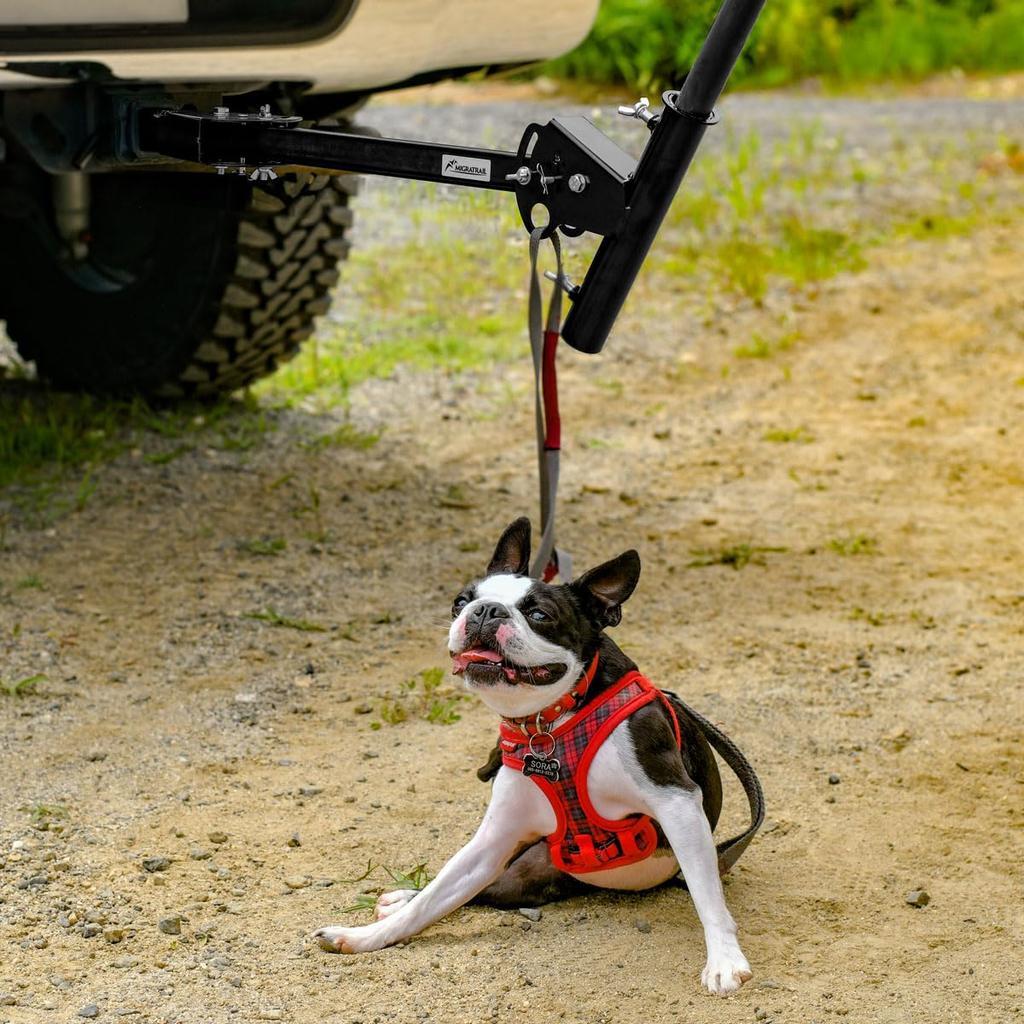 Dirtfreak MIGRATRAIL Hitch Mount Parasol Holder D7039 (formerly MT82-1100)