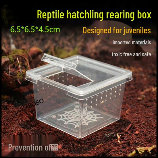 

Защищенная от побега кормушка с откидной крышкой для молодых пауков