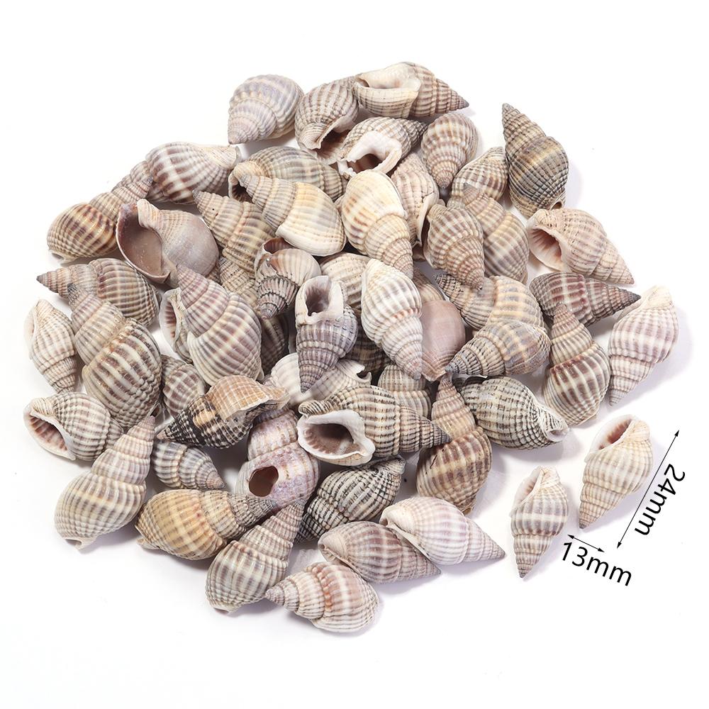40g/bag Sea Shell Beads Tiny Conch Beads Undrilled Natural Shell Beads For Jewelry Making DIY Crafts Ornament Home Decoration