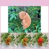 Capybara 11cm Fashionable Plush Keychain With Adorable Strawberry Hat Great For Personalization