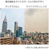 [Eight Tokyo] Polarized Sunglasses for Men and Women, Blue Light Blocking, Made In Japan, Wellington/Boston Style, Lightweight, Light Color, Suitable