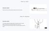 Tombow Pencil MONO MON Graph Mechanical Pencil To Advance Neon White 0.5mm (Shake Lead) DPA-134A