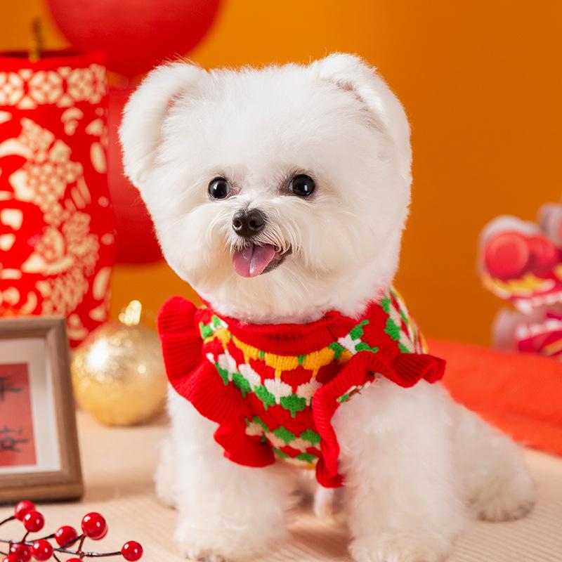 Three-dimensional Small Flower Color Bar Dog Sweater Autumn and Winter Warm Teddy Bear Puppy Cat Two Feet Pet Dog Clothes