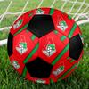 SIZE 5 FC Lokomotiv Moscow Soccer Ball Colorful All Ages Machine Stitched PVC Competition Ready Durable High-Bounce
