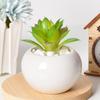 6Pcs Round Shape Succulent Flower Pot Mini Ceramic Pot New Plant Potted  Green Plant