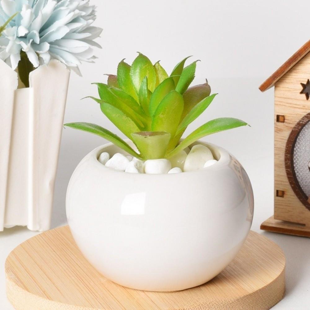 6Pcs Round Shape Succulent Flower Pot Mini Ceramic Pot New Plant Potted  Green Plant