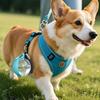 Spherical Design Pet Water Bottle Reusable Leak-Proof Dog Water Dispenser with Lanyard 181ML Travel Water Cup Pet Walking