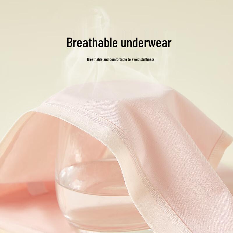 Urban Beauty Women's Class A Cotton Antibacterial Briefs (4-Pack)