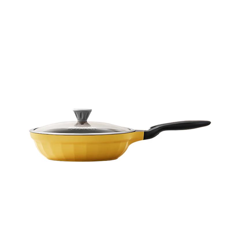 Buydeem Deep Frying & Roasting Pan