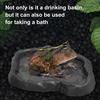 Reptile Feeder Terrarium Bowl Turtle Food And Water Feeding Dish for Tortoise Lizard Gecko Bearded Dragon