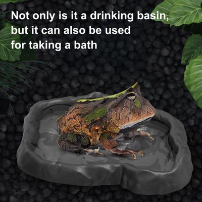 Mangiatoia per Rettili Ciotola per Terrario Piatto per Cibo e Acqua per Tartaruga Lucertola Geco Drago Barbuto